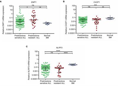 Prognostic Relevance of Expression of EMP1, CASP1, and NLRP3 Genes in Pediatric B-Lineage Acute Lymphoblastic Leukemia